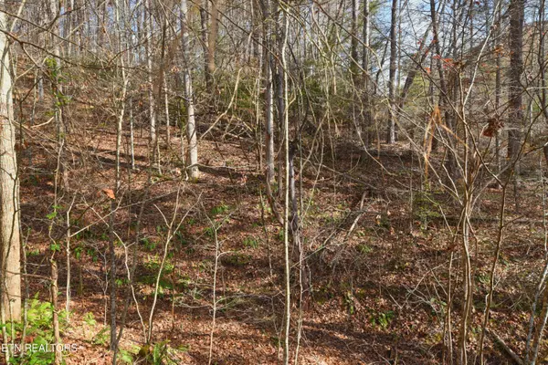 Legend Lot 3 DR, Sevierville, TN 37876