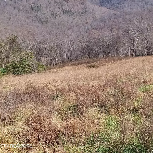 Cumberland Gap, TN 37724,Lot # 1 King Bend Road