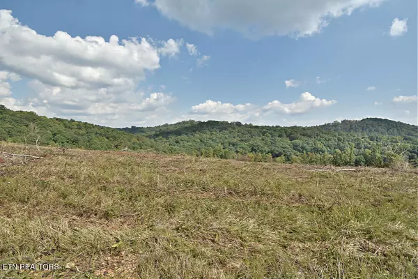 Lafollette, TN 37766,Lot #65 Pinnacle LN