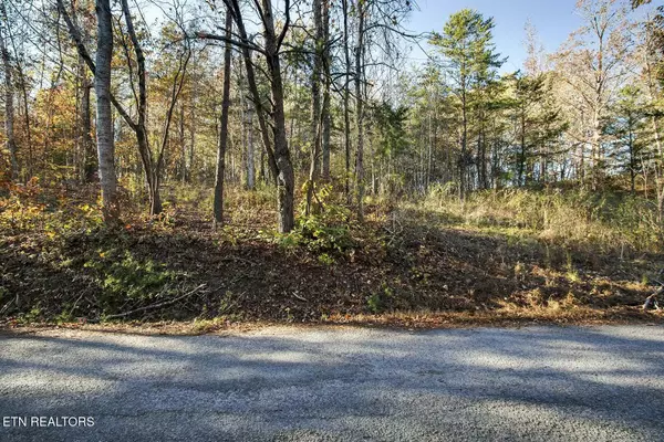 Decatur, TN 37322,Lots 3-5 Morrison Road