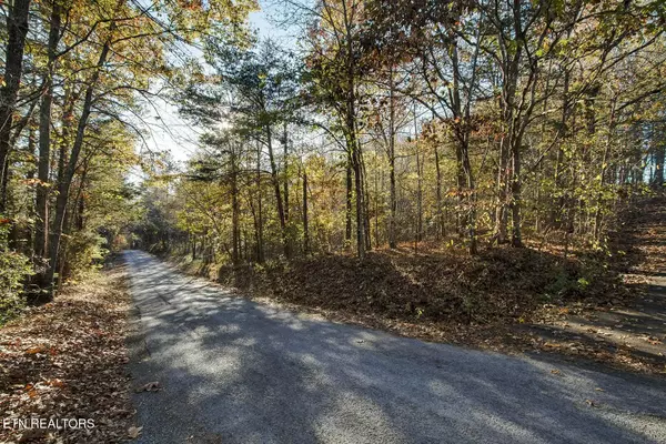 Decatur, TN 37322,Lot 1-2 Morrison Rd