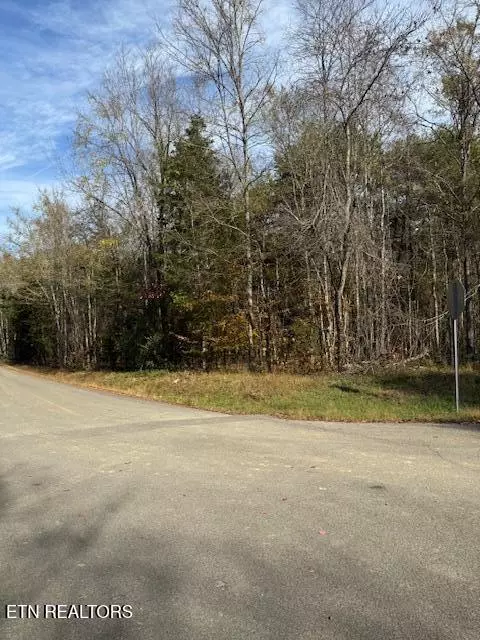 Baneberry, TN 37890,Lot 1023 Cove LN