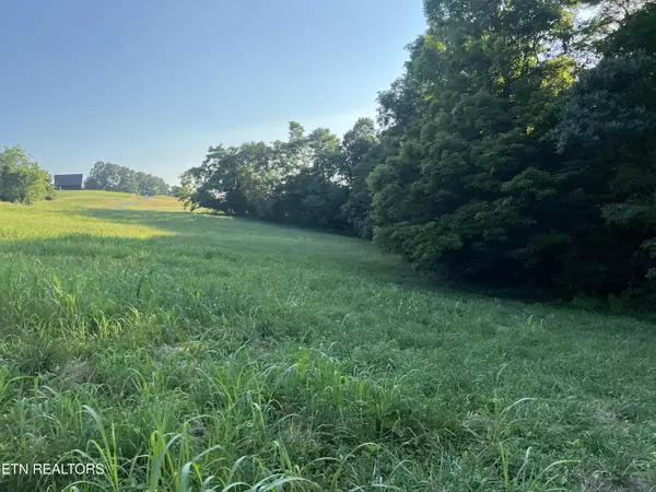 Byrdstown, TN 38549,1.9 AC. Lot 19 - Amonett CIR