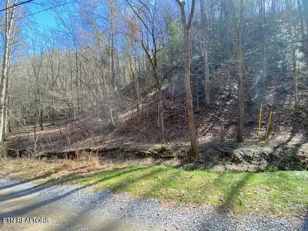 Sevierville, TN 37862,Hidden Hollow Way-15 & 16 WAY