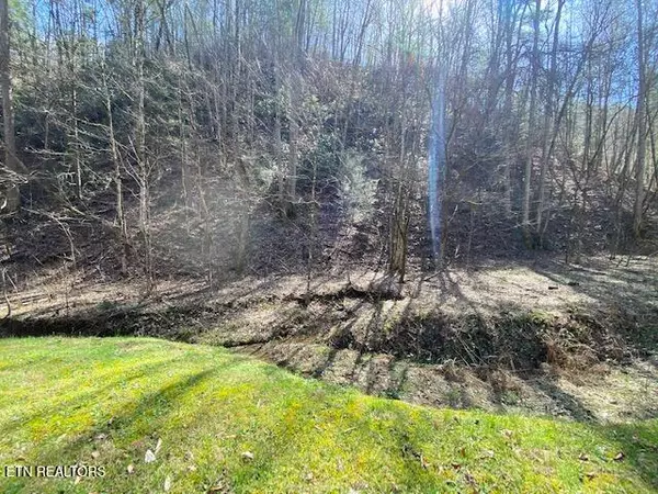 Sevierville, TN 37862,Hidden Hollow Way-15 & 16 WAY