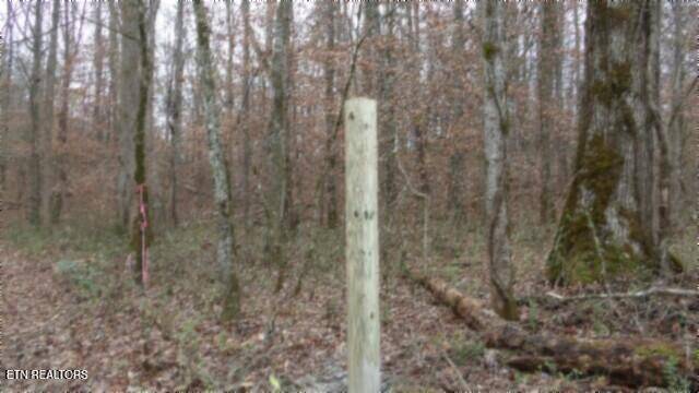 Wartburg, TN 37887,761 Petit Lane