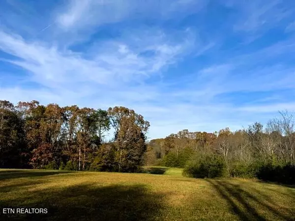 Etowah, TN 37331,55 acres County Road 784 / 792R