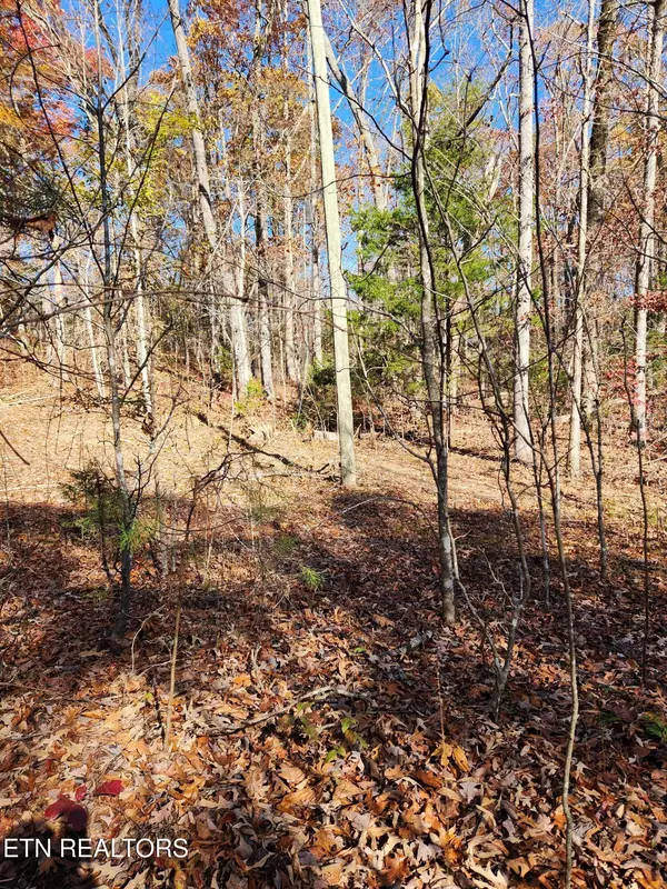 Tellico Plains, TN 37385,48 Myers Rd