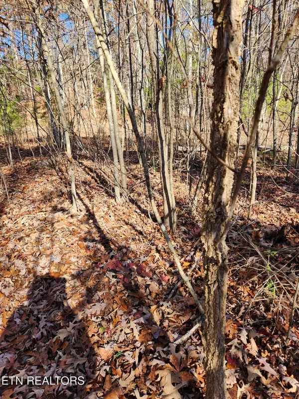 Tellico Plains, TN 37385,Lor 9B Myers Rd