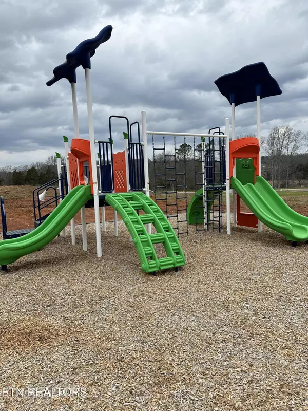 Corryton, TN 37721,8050 Tree Line LN