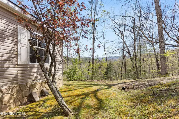 Sevierville, TN 37876,3732 Harrell Hills WAY