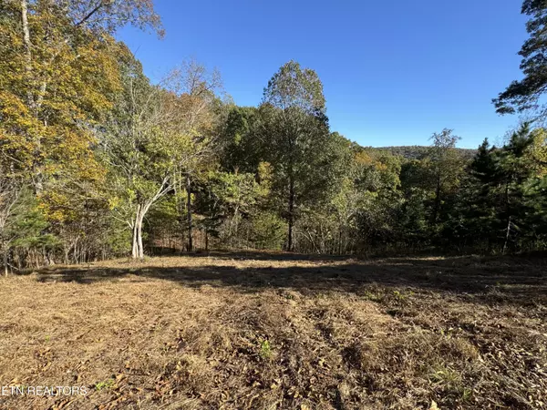 3 Button Buck LN, Lafollette, TN 37766