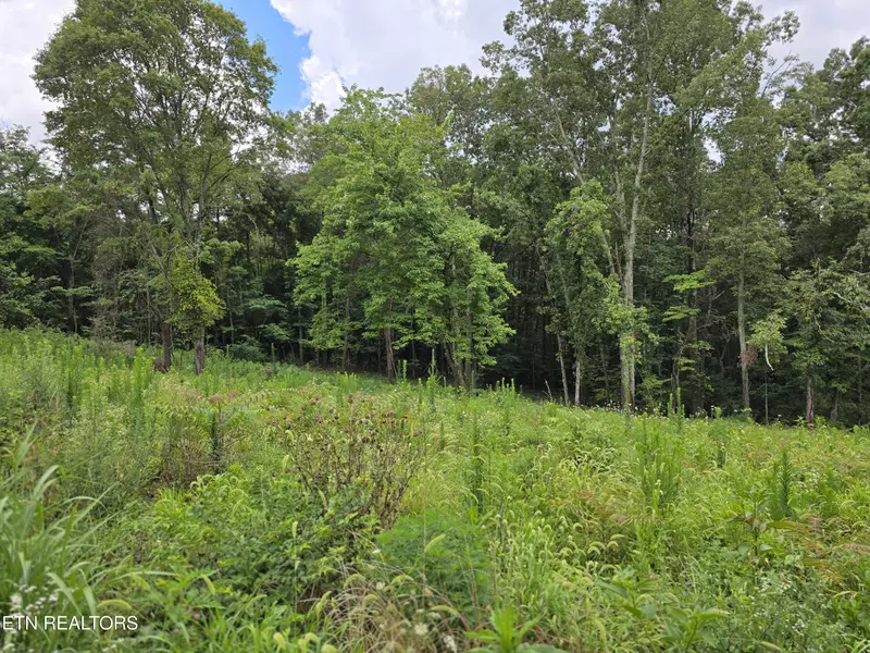 270 Wells Rd, Powell, TN 37849