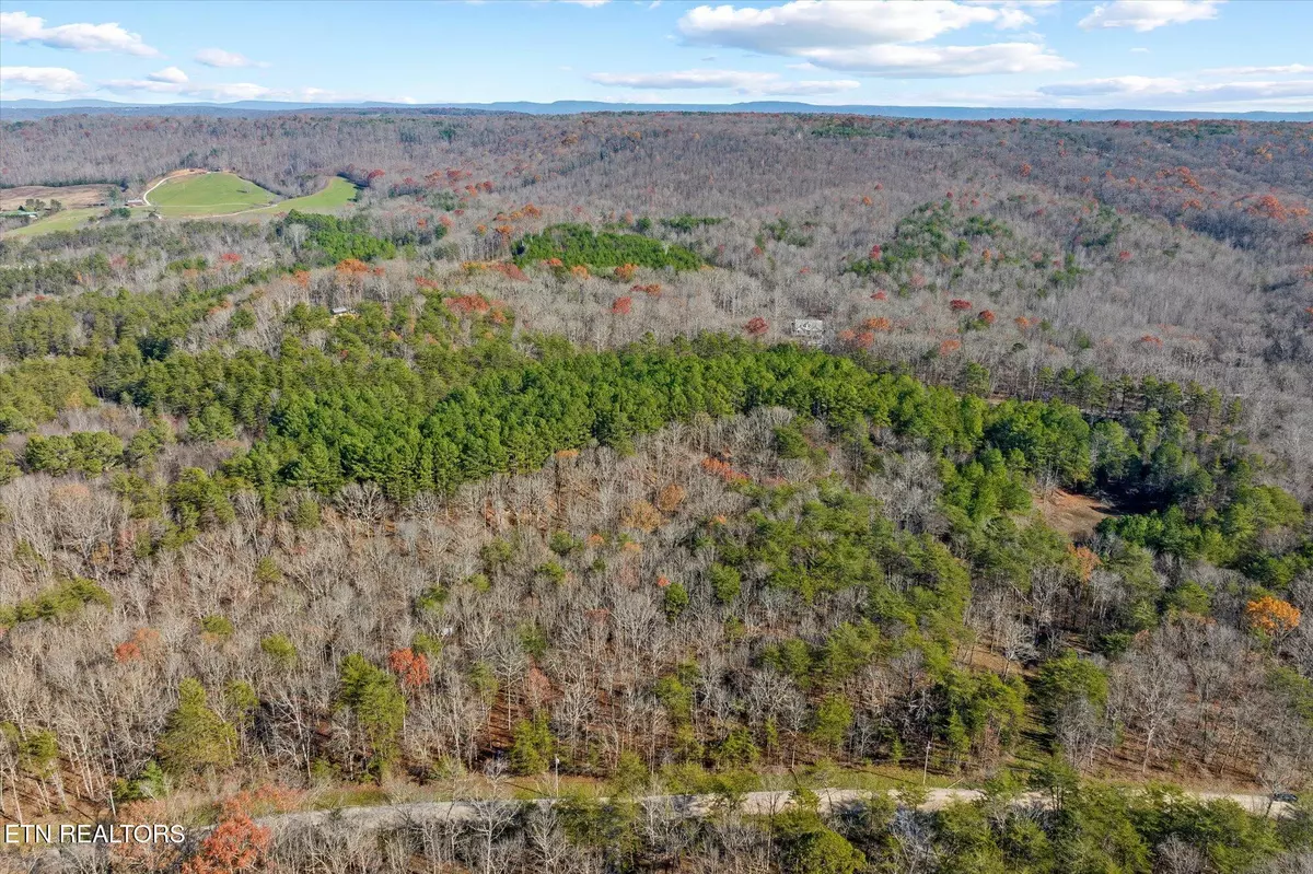 Pikeville, TN 37367,Lot 13 Fern Hill Rd
