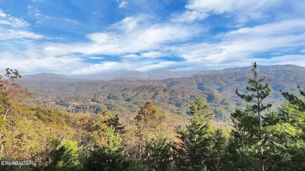 Maryville, TN 37803,Tract 29R3 Chilhowee Mountain Tr