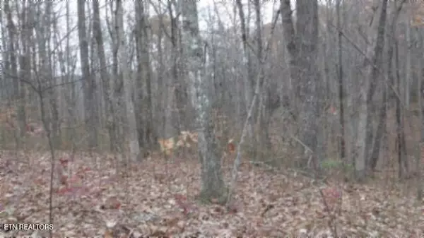 Lot 23 Cumberland Cove Rd, Monterey, TN 38574