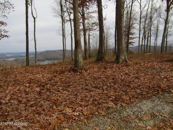 Hilham, TN 38568,Lot 27C Rockfish Rd