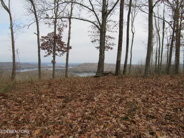 Hilham, TN 38568,Lot 27C Rockfish Rd