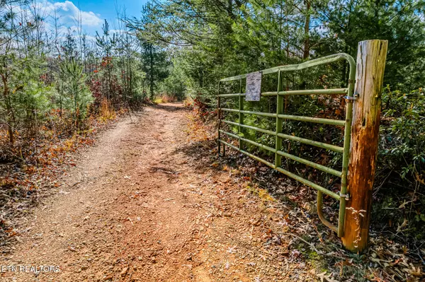 Tellico Plains, TN 37385,Pond Ridge Road