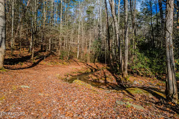 Tellico Plains, TN 37385,Pond Ridge Road