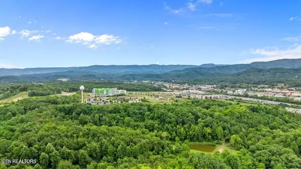 Pigeon Forge, TN 37863,460 Alpine Mountain WAY