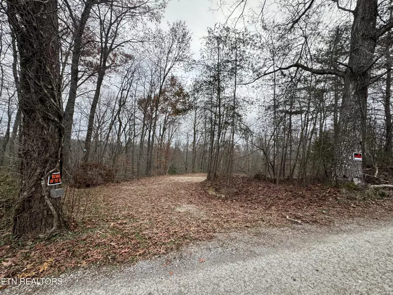 Knotty Pine LN, Duff, TN 37729