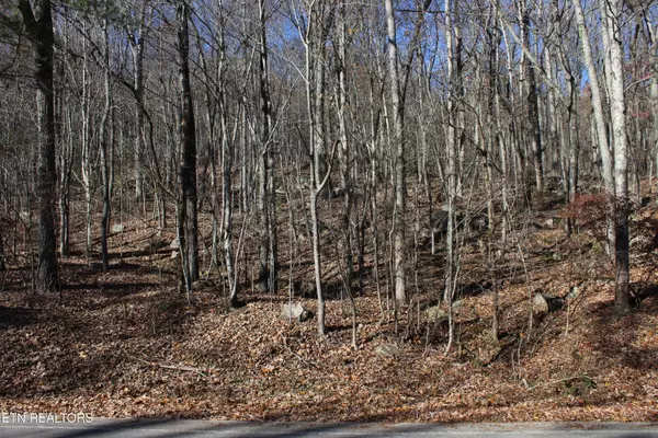 Harriman, TN 37748,Scenic Dr, Lot 20