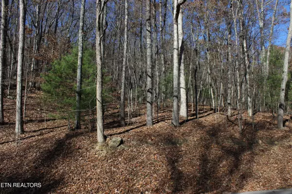 Harriman, TN 37748,Scenic Dr, Lot 21