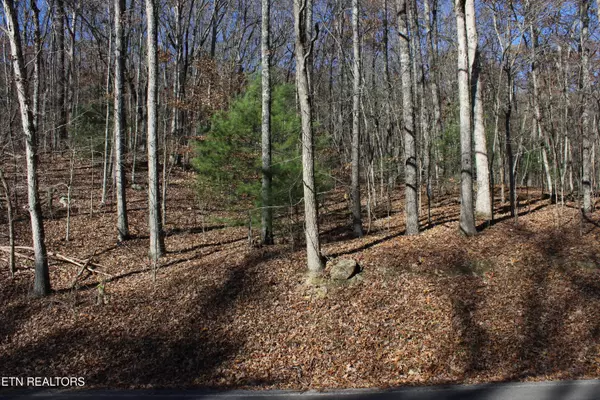 Scenic Dr, Lot 21, Harriman, TN 37748