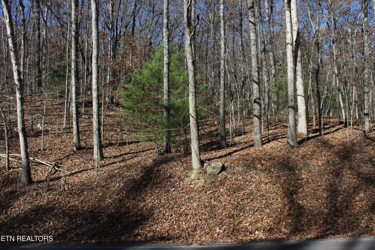 Harriman, TN 37748,Scenic Dr, Lot 21