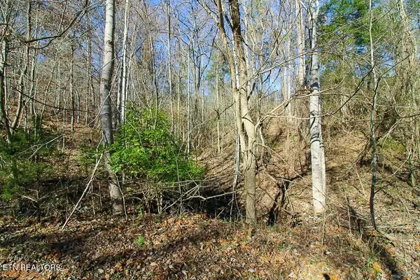 New Tazewell, TN 37825,Lot 421 Mystic Star DR