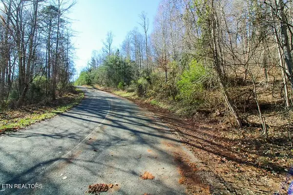 New Tazewell, TN 37825,Lot 421 Mystic Star DR