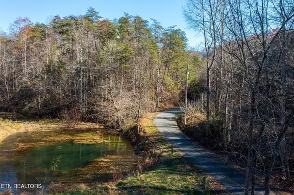 Sevierville, TN 37876,Lot 24 Lakeshore Ave