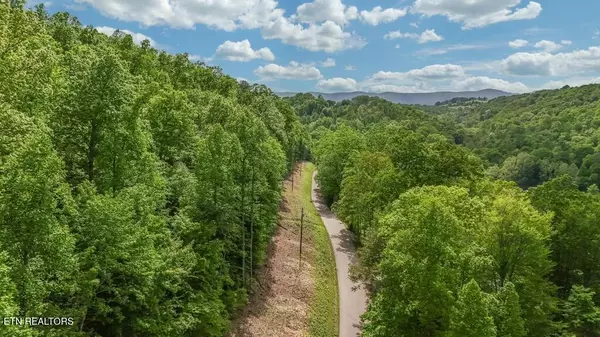 Jacksboro, TN 37757,Yoakum Hollow Rd