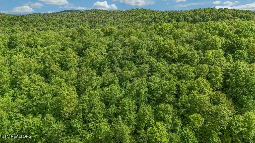 Jacksboro, TN 37757,Yoakum Hollow Rd
