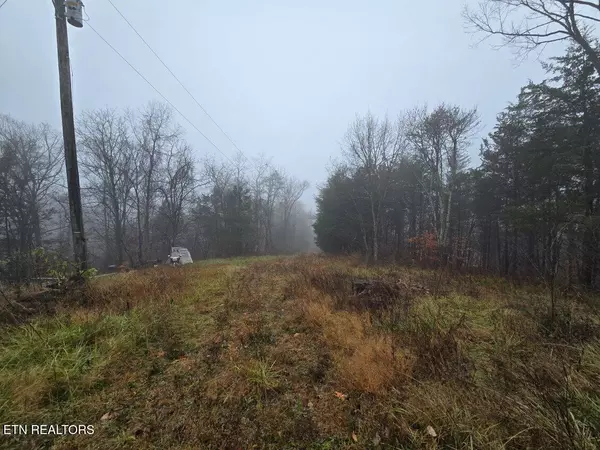 Powder Springs, TN 37848,1644 Round Barn Rd