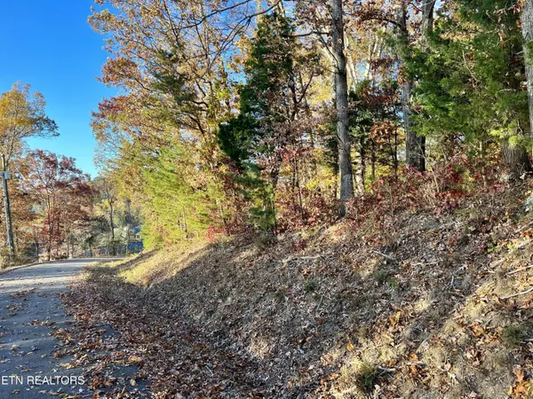 Baneberry, TN 37890,Lakefront PL