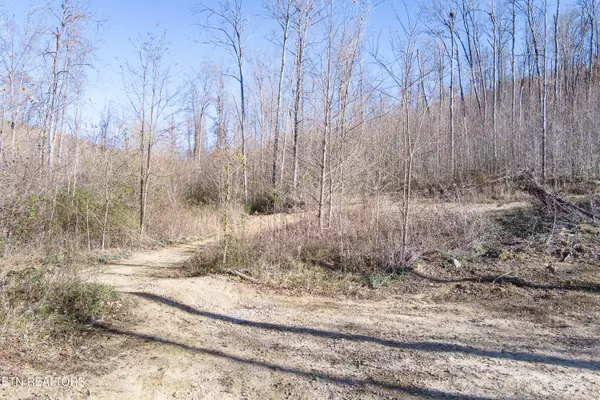 Rickman, TN 38580,54.88 AC Nelson Lane