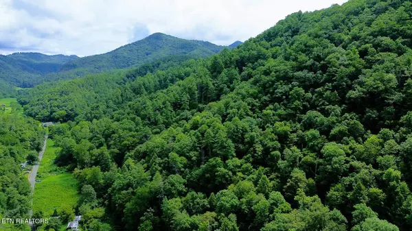 Townsend, TN 37882,Carrs Creek (24 acres) Rd
