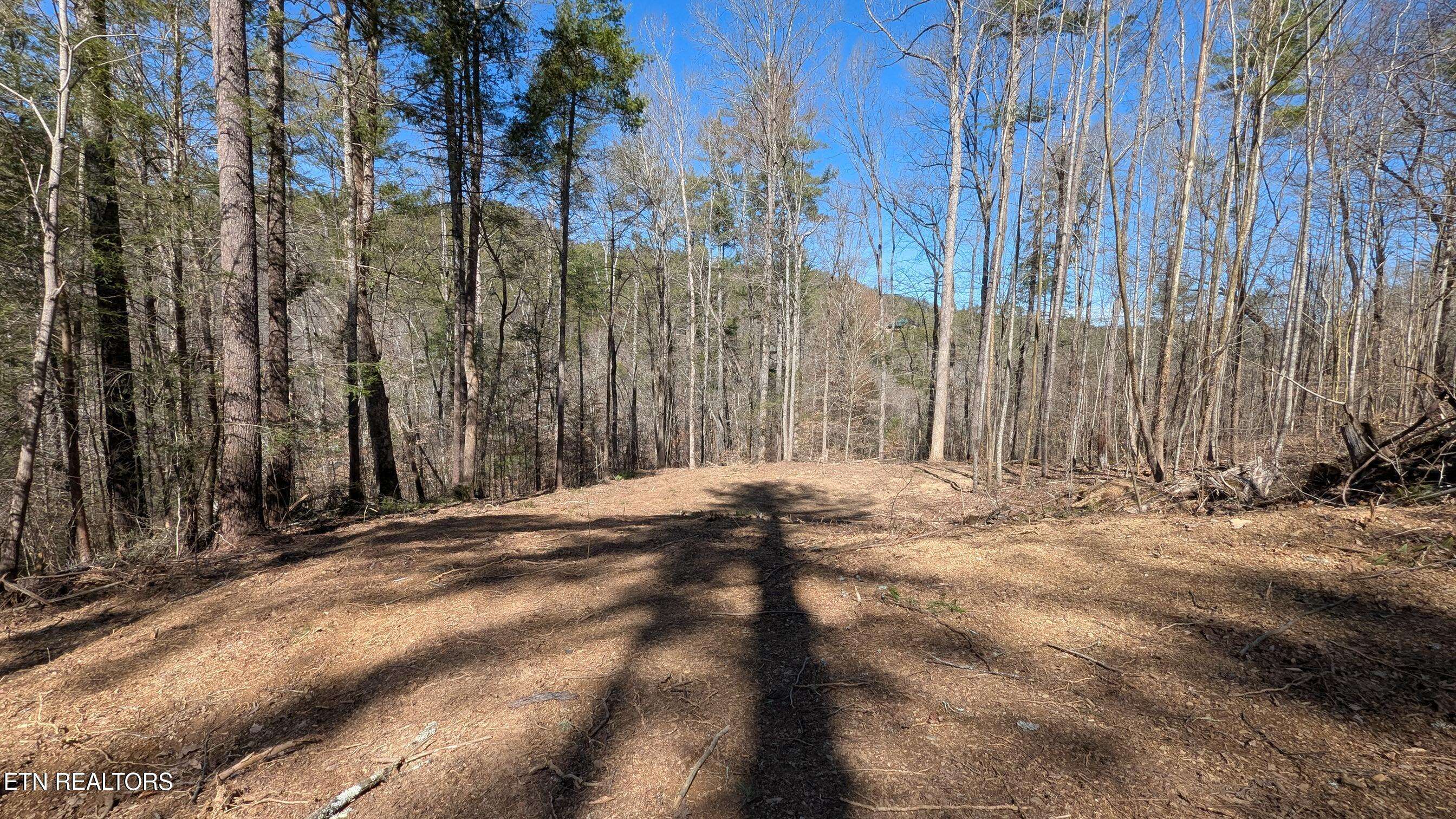 Townsend, TN 37882,Carrs Creek Rd
