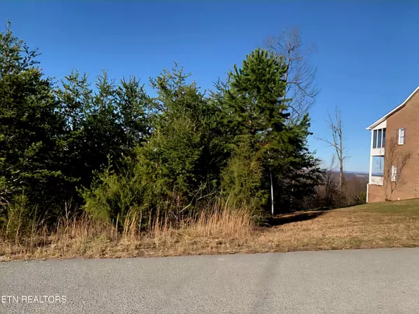 Maynardville, TN 37807,Panoramic