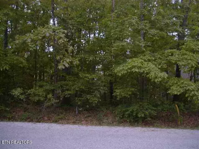 Fairfield Glade, TN 38558,24 Black Oack CIR