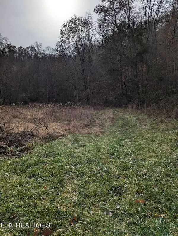 Owens Lane, Rutledge, TN 37861