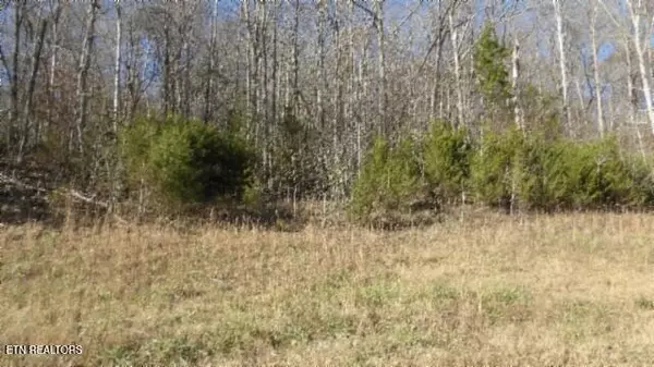 Lot 46 Cheyenne Drive, Jamestown, TN 38556