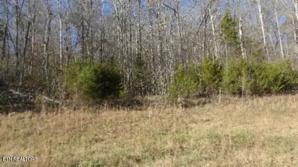 Jamestown, TN 38556,Lot 46 Cheyenne Drive