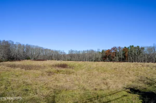 Sparta Hwy 31.65 +/- Acres, Crossville, TN 38555