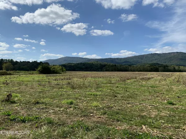 Tellico Plains, TN 37385,0 Reliance Rd