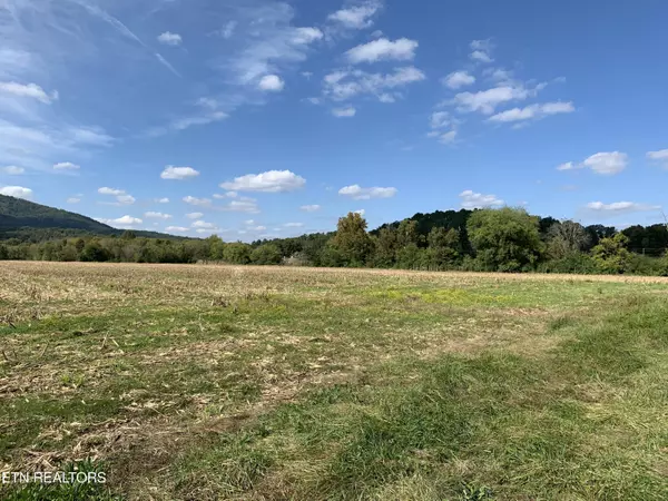 Tellico Plains, TN 37385,0 Reliance Rd