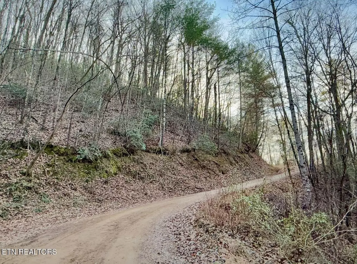 Harriman, TN 37748,Logus DR