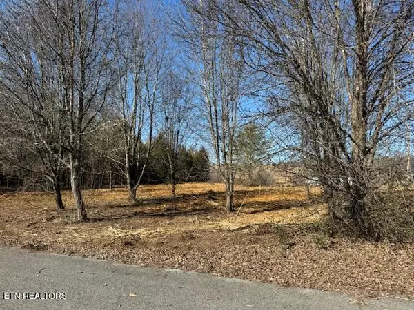 Lot 23+ Goddard Lane, Dandridge, TN 37725